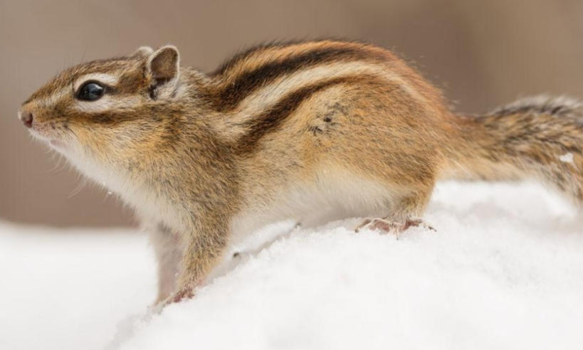 天津利兴源智科技有限公司轮播图1