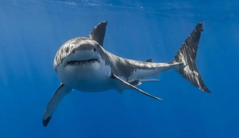 天津利兴源智科技有限公司轮播图2