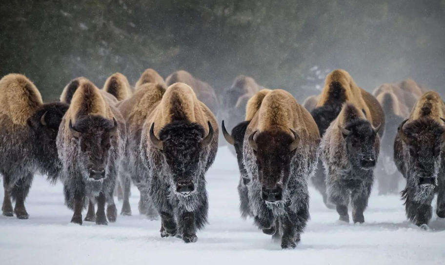 天津利兴源智科技有限公司轮播图3