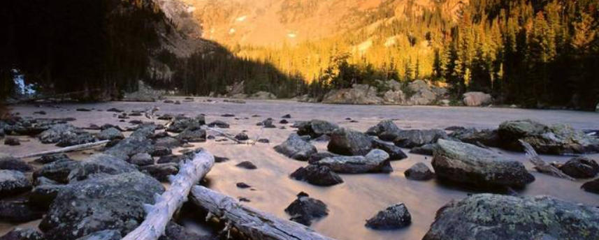 天津利兴源智科技有限公司轮播图1