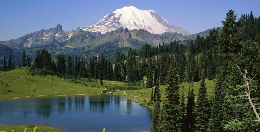 天津利兴源智科技有限公司轮播图4